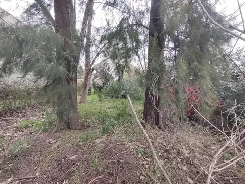 11 De Noviembre 1100