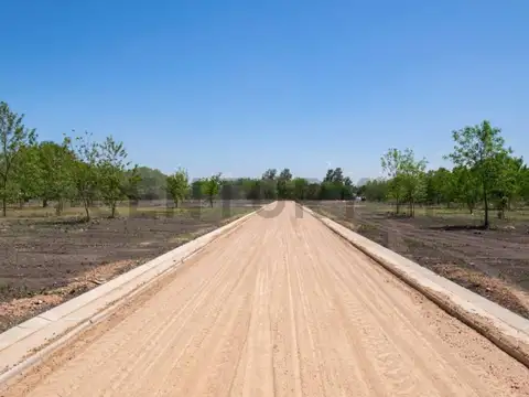 Campo en Venta de 0,06  ha