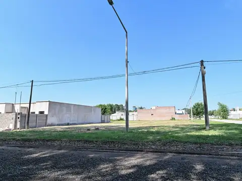 Roberto Cavanagh 200