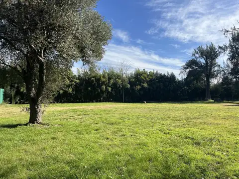 Terreno en Venta de 535,0 m2