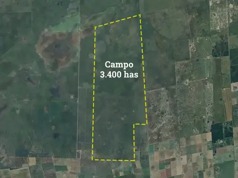 Campo en Venta en Selva, Rivadavia