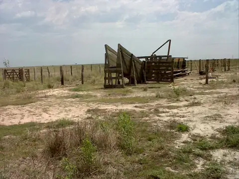 Campo en Selva