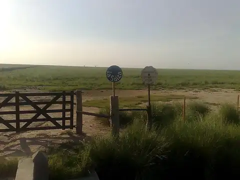 Campo en Selva