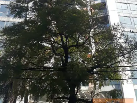 Oficina 60 m², 2 Privados c/ sala de espera - Torres Gemelas - S.Justo (Ctro)