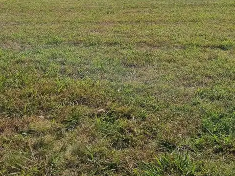 Terreno en Venta de 2002,0 m2