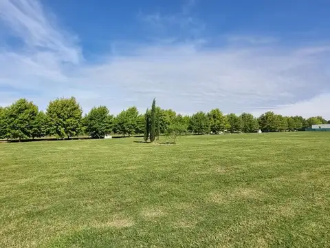 Avenida Fernández Beschtedt