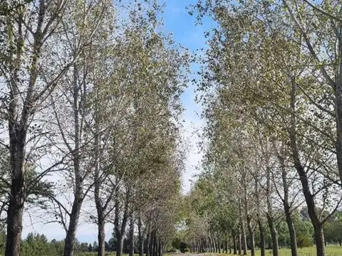 Terreno en Venta de 2002,0 m2