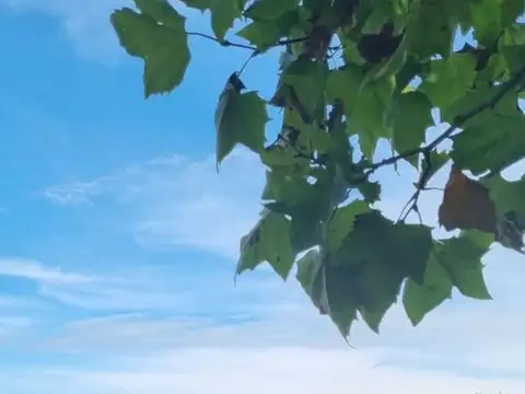 Terreno en Venta en Everlinks Golf & Country Club, USD 36.000