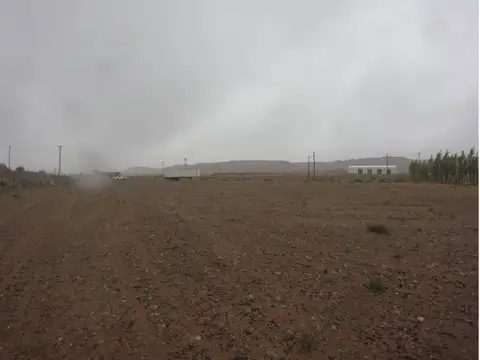 Terreno en Alquiler de 6200,0 m2