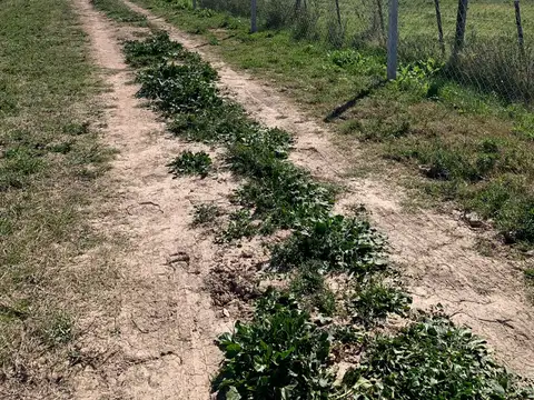 Terreno en Venta de 14687,0 m2