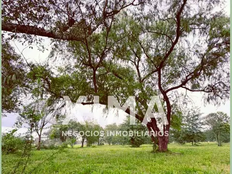 Terreno en venta La Arbolada