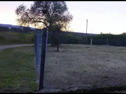 Quebracho Colorado