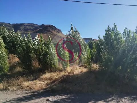 Cordillera del viento 100