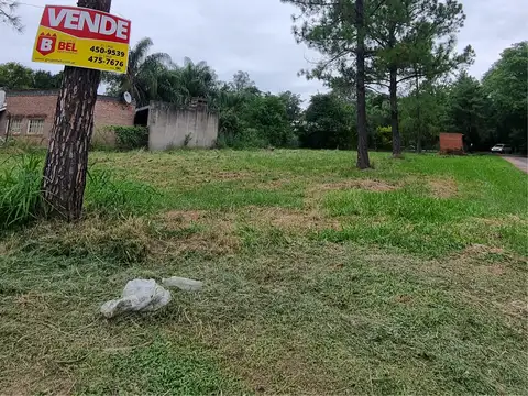 La Buena esquina, calle principal, Colonia Benítez