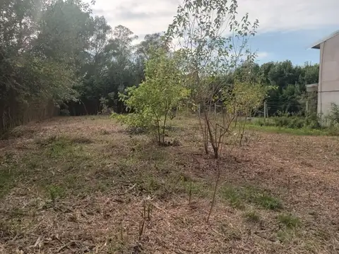 Paso de los Patos 3500