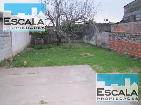 TTE AGNETA al 100 BIS