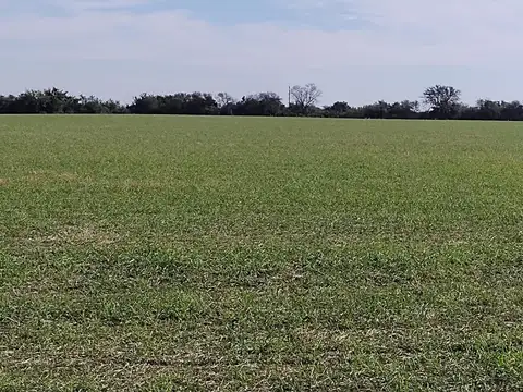 Campo en Venta en Puerto Algarrobo, Federación