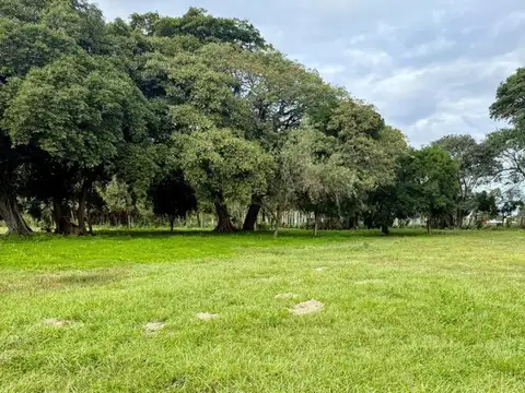 Terreno en Venta en Colonia Porvenir, Goya