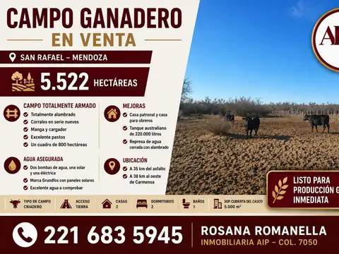 Campo - Punta De Agua