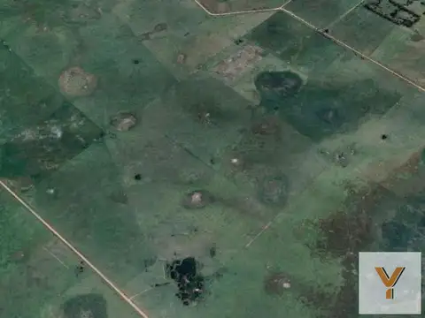 Campo en venta - Casa - 248Ha - Cañuelas