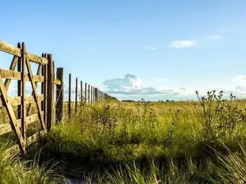 Campo en venta - Casa - 248Ha - Cañuelas