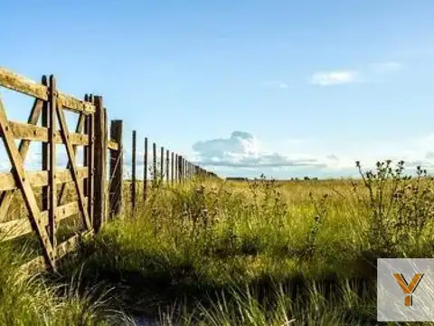 Campo en venta - Casa - 248Ha - Cañuelas