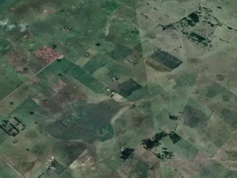 Campo en venta - Casa - 248Ha - Cañuelas