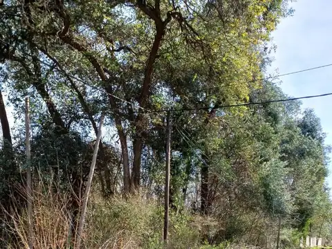 Ruta 2 Km 51