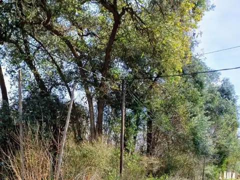 Terreno en Venta de 1200,0 m2
