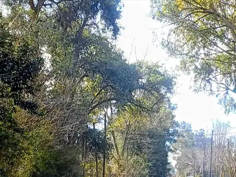 Ruta 2 Km 51