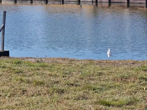 Excelente terreno a la laguna con escritura Área 9