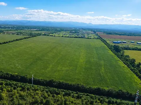 UNQUILLO 100