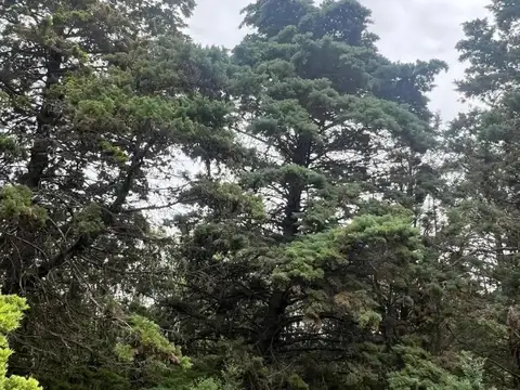 Casa en Venta en Benavidez, USD 980.000