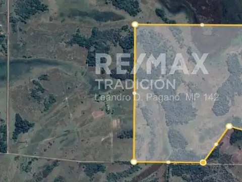 CAMPO GANADERO EN VENTA 99 HAS MONGAY, LAS PALMAS