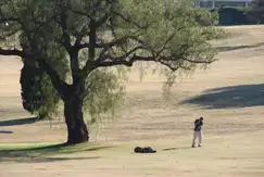 Actividades deportivas golf en el Country Club, Altagracia Country Golf