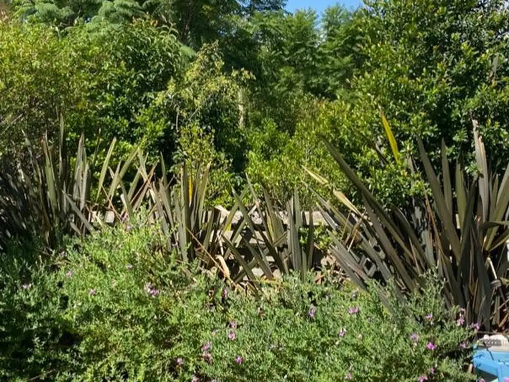 Planta Baja en Arboris de la Horqueta con jardín y sol - Foto 18