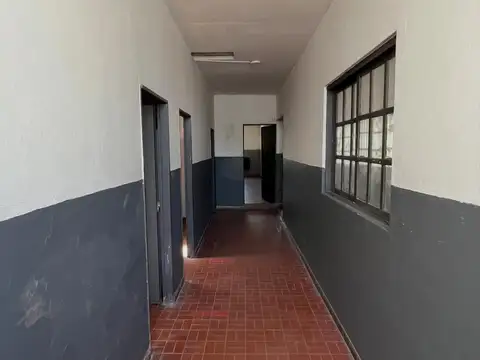 Maestra Piovano 1000