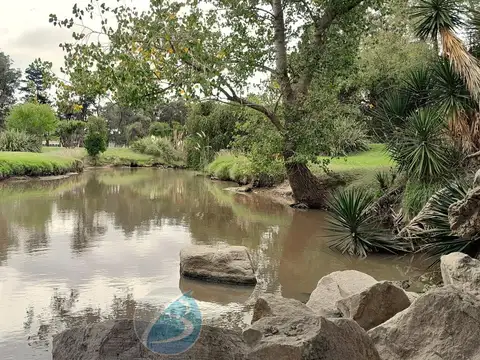 Terreno en Venta 33  mts Fondo