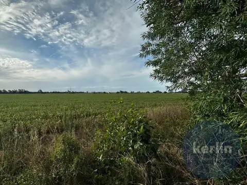 Campo en San Nicolas De Los Arroyos
