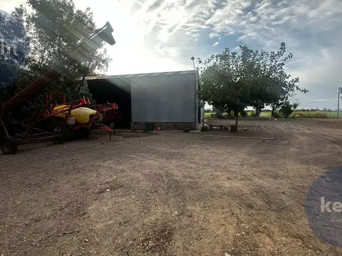 Campo en San Nicolas De Los Arroyos