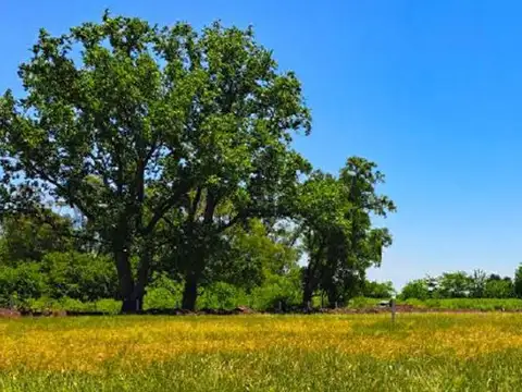 Venta Lote 800m2 Barrio Verde Las Moras Pontevedra