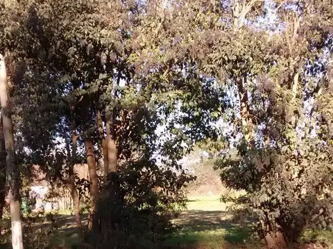 VENTA TERRENO ESQUINA AV. ARANA (419) Y 139 -