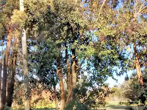 Venta Terreno Esquina Av. Arana (419) Y 139 -