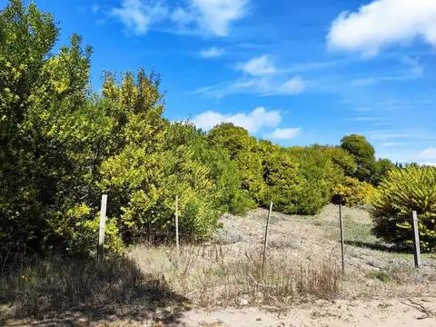 Terreno en Venta 10  mts Fondo