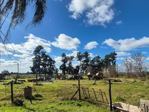 Cordova Leodegario 100