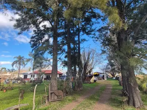 Campo en Venta de 1  ha