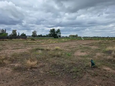 Terreno en Venta de 1000,0 m2