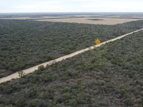 9.000 has en venta con permiso de desmonte