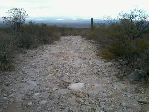 Terreno en Venta en Arauco, USD 1.600.000