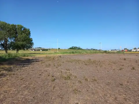 PARCELAS 639 Y 640D EN VENTA, JUNTAS O SEPARADAS. 31,12 HECTAREAS EN TOTAL